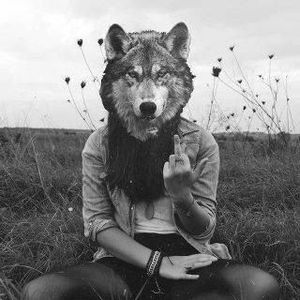 Meet your Posher, Shawna